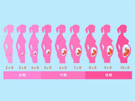 妊娠中 体位|妊娠しやすい体位とは？妊娠の確率を上げるための過。